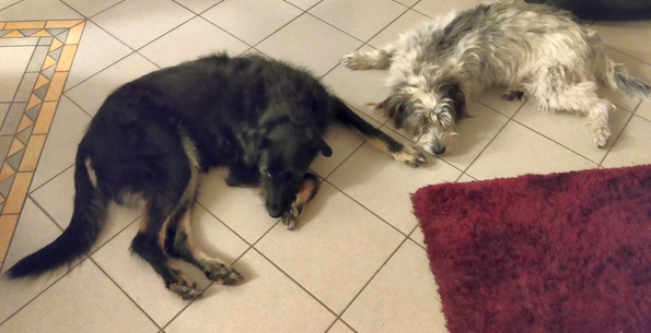 Hannes und Lula