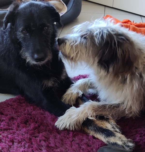 Hannes und Lula