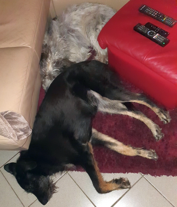 Hannes und Lula