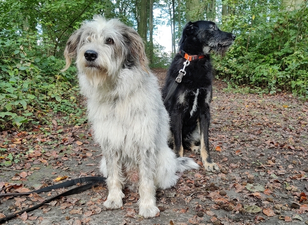 Hannes und Lula