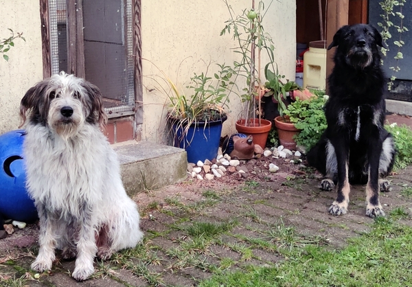Hannes und Lula