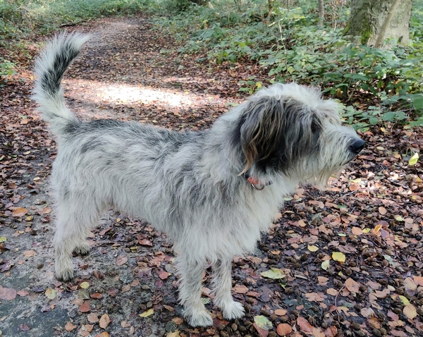 Hannes und Lula