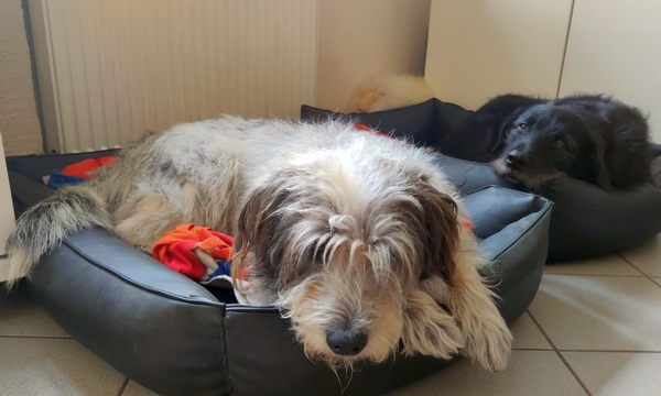 Hannes und Lula