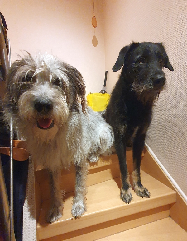 Hannes und Lula