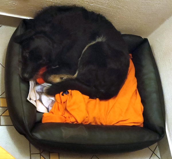 Hannes und Lula