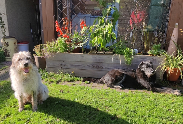 Hannes und Lula
