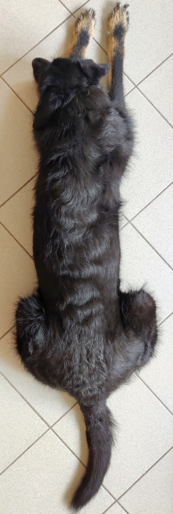 Hannes und Lula