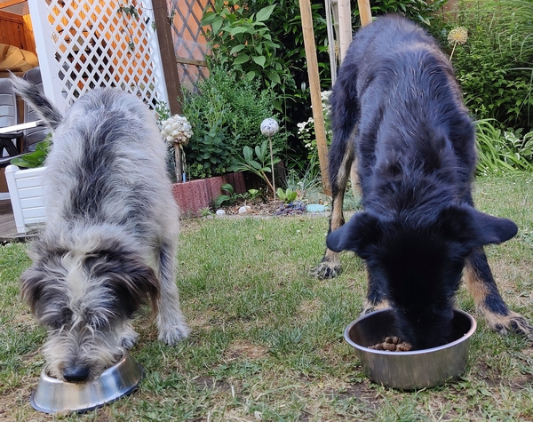 Hannes und Lula