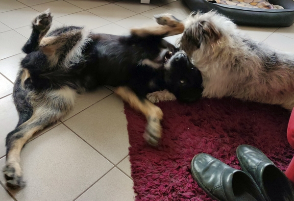 Hannes und Lula