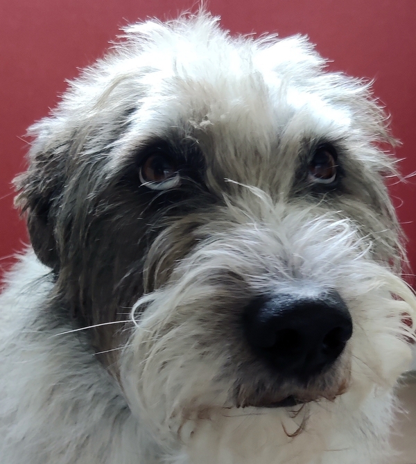 Hannes und Lula