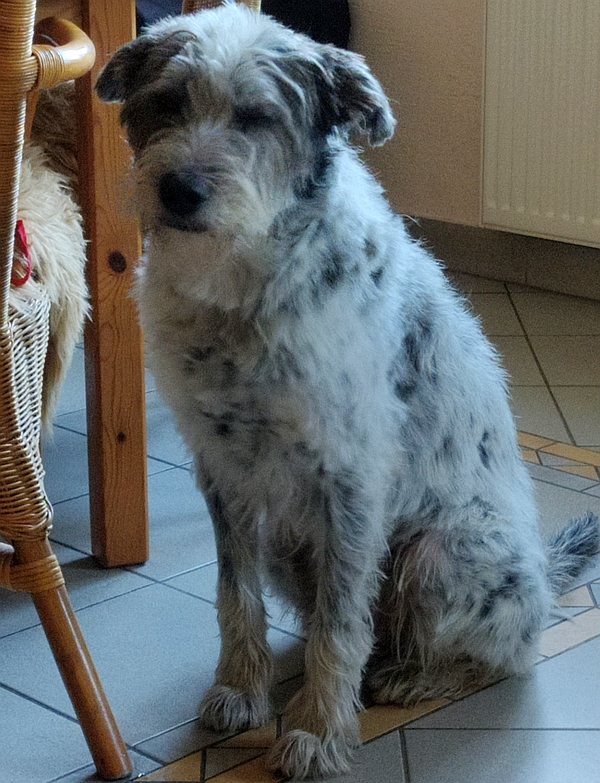 Hannes und Lula