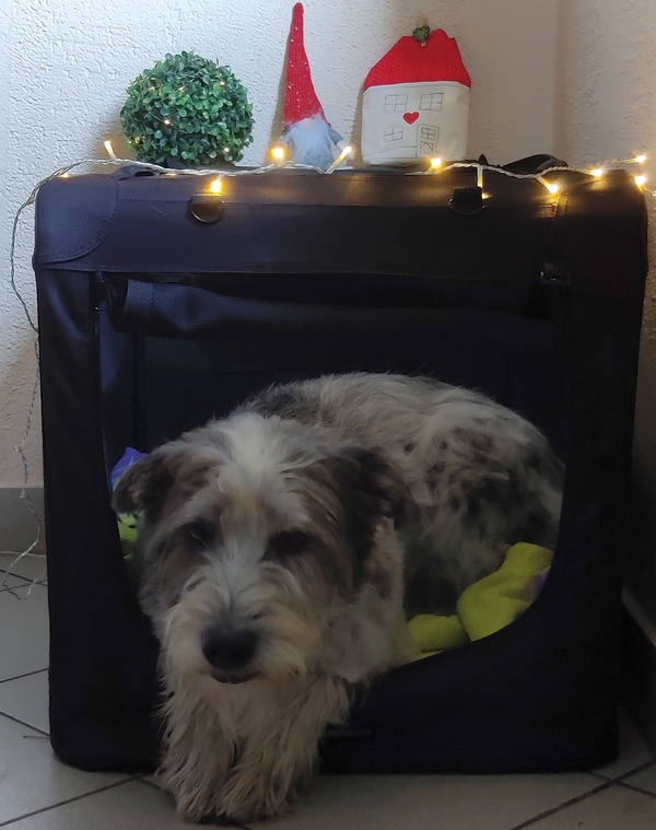Hannes und Lula