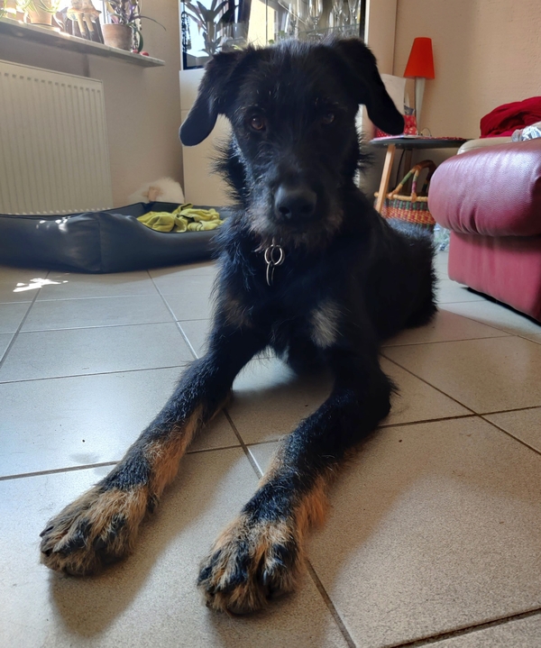 Hannes und Lula