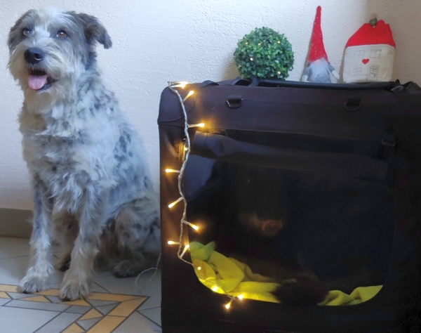 Hannes und Lula