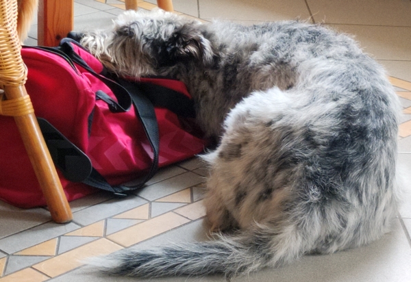 Hannes und Lula