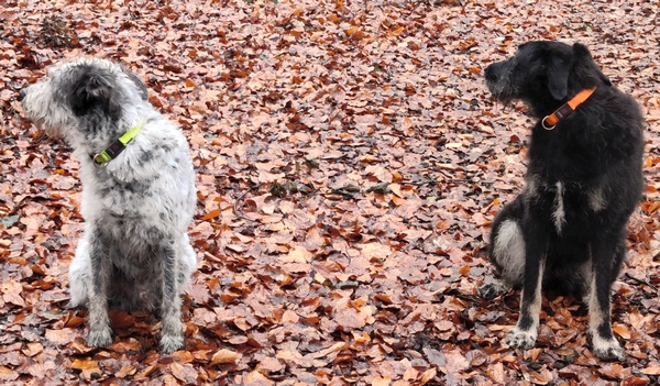 Hannes und Lula