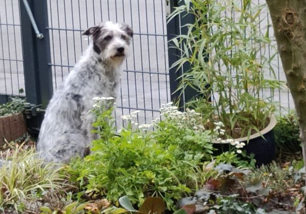 Hannes und Lula