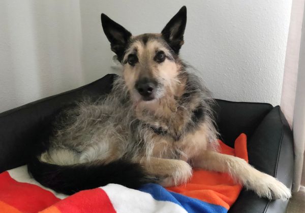 Hannes und Lula