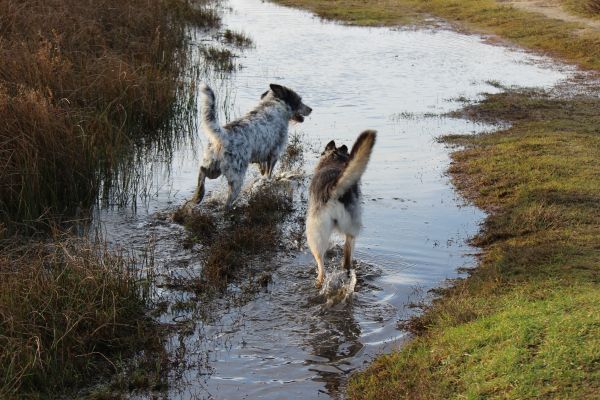 Hannes und Lula