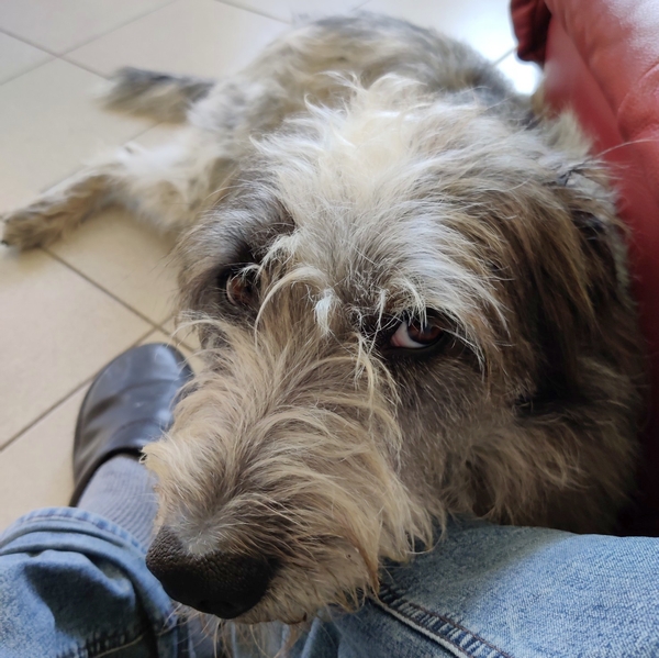 Hannes und Lula