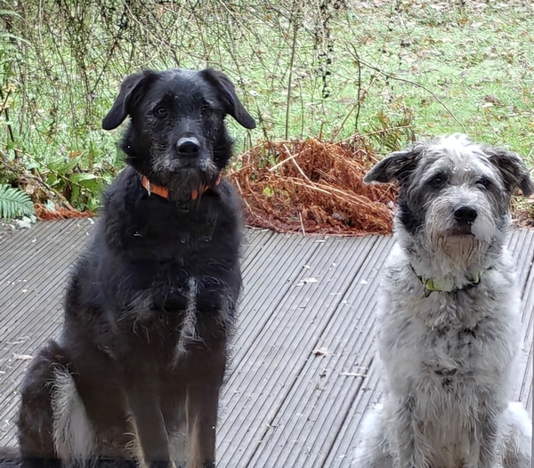 Hannes und Lula