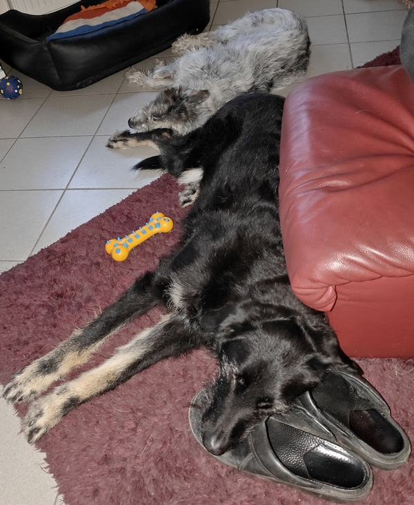 Hannes und Lula