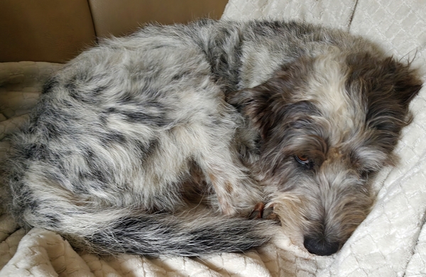 Hannes und Lula