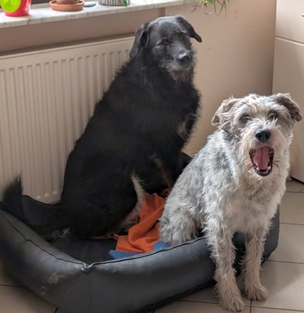 Hannes und Lula