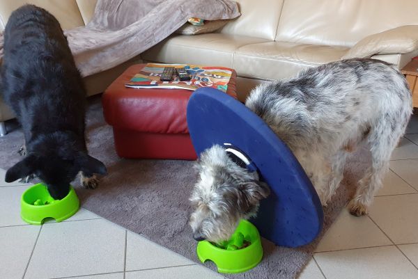 Hannes und Lula