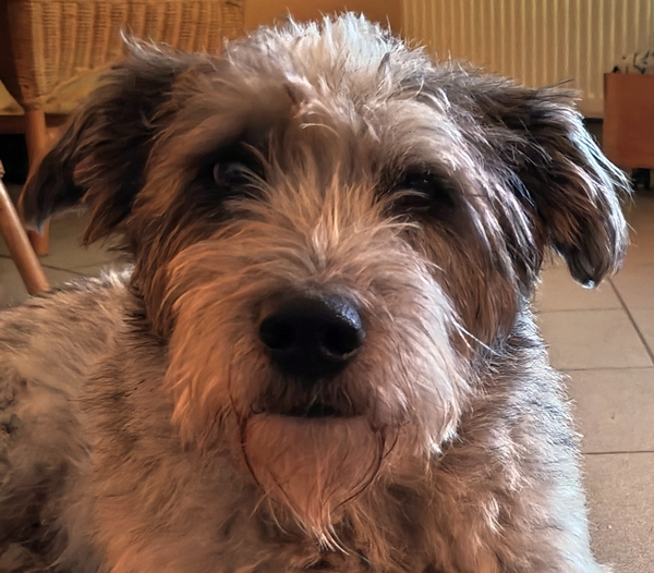 Hannes und Lula