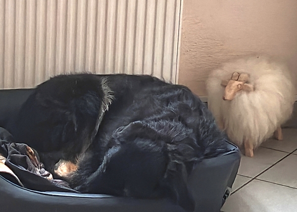 Hannes und Lula