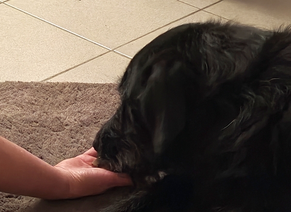 Hannes und Lula