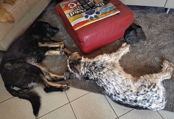 Hannes und Lula