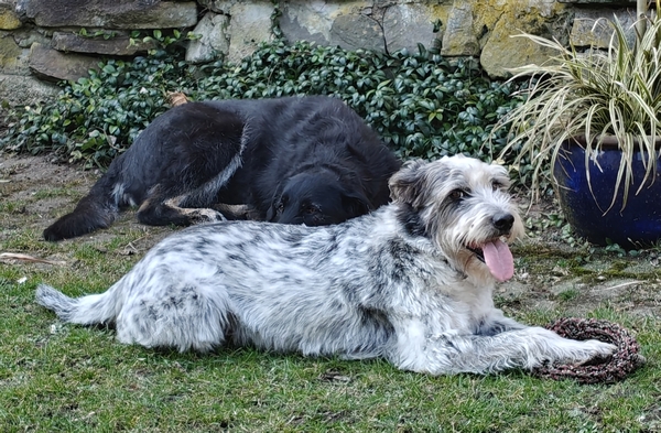 Hannes und Lula