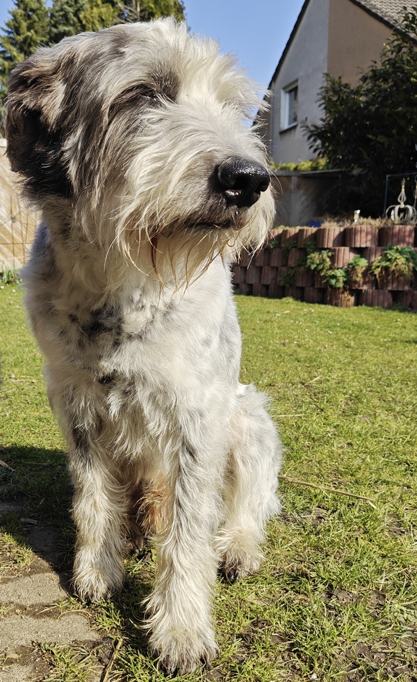 Hannes und Lula