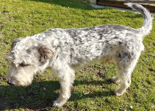 Hannes und Lula