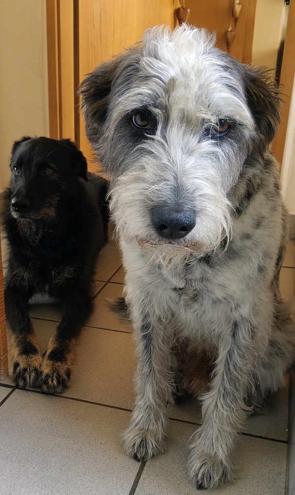 Hannes und Lula