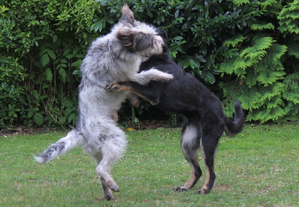 Hannes und Lula