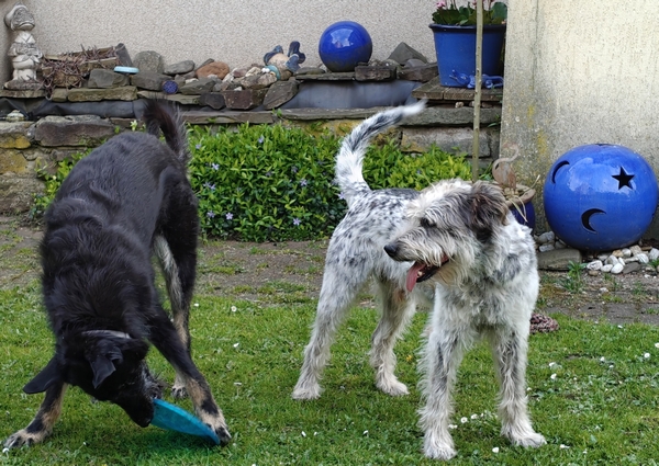 Hannes und Lula