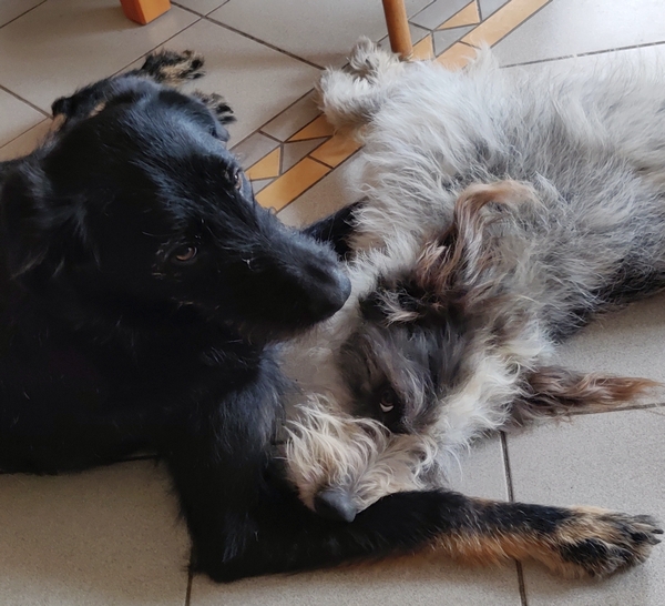 Hannes und Lula