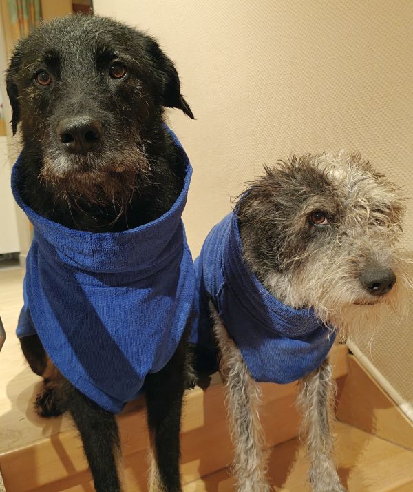 Hannes und Lula