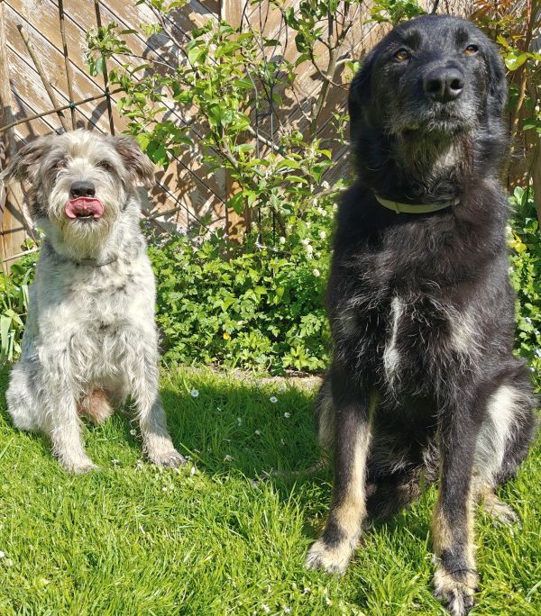 Hannes und Lula