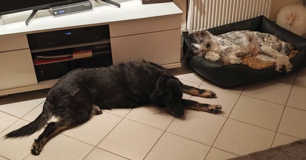 Hannes und Lula