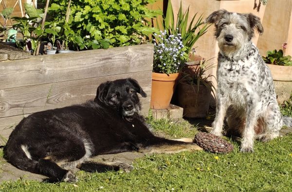 Hannes und Lula