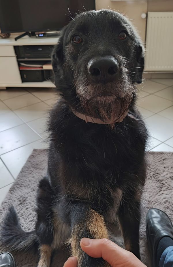 Hannes und Lula
