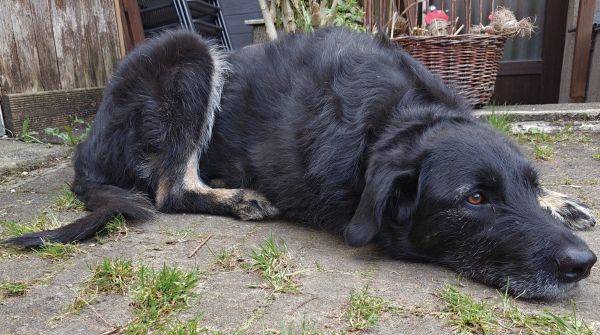 Hannes und Lula
