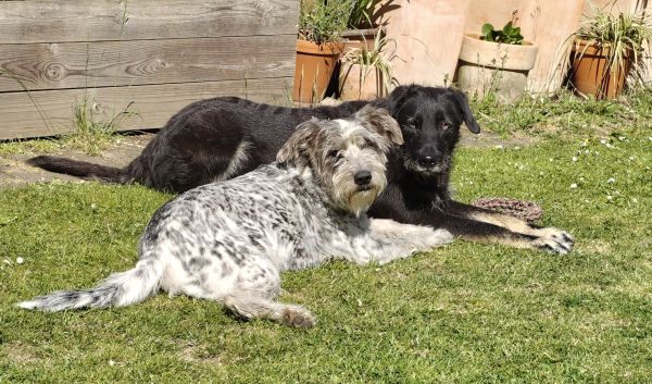 Hannes und Lula