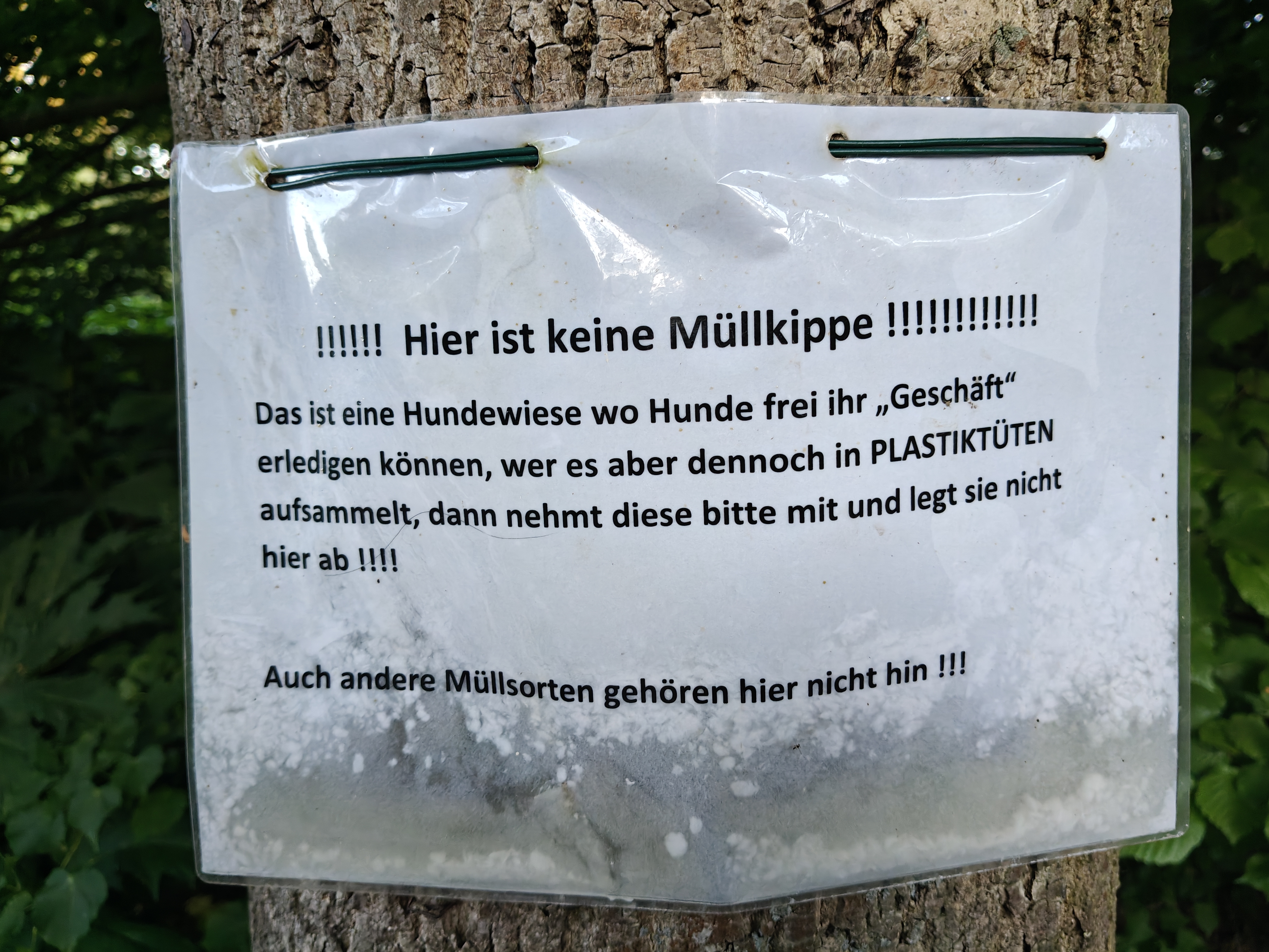 Hannes und Lula