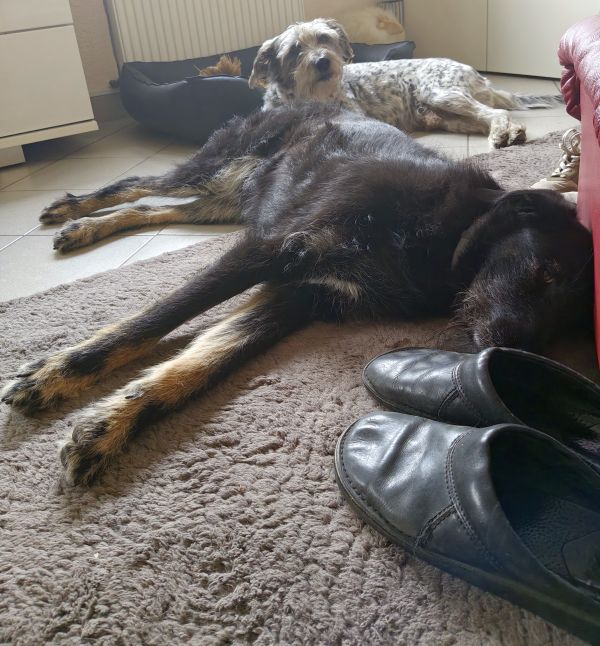 Hannes und Lula