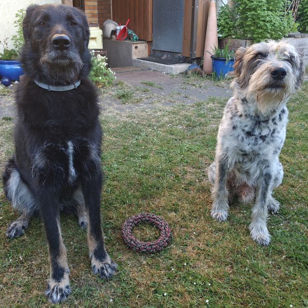 Hannes und Lula